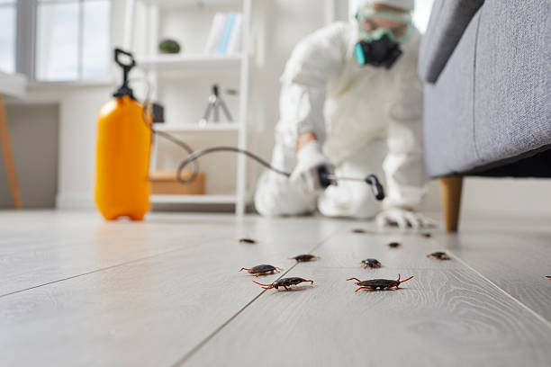 Commercial Kitchen Cockroach Control in Archbold